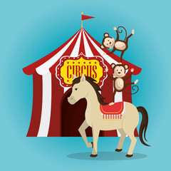 horses and monkeys circus show