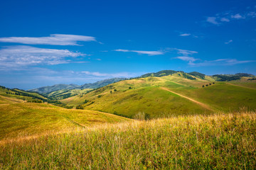 The mountains and hills. Altai