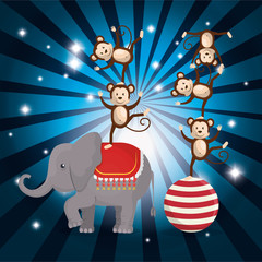 monkeys and elephant circus show
