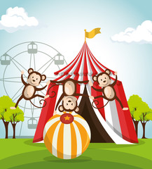 monkeys circus show icons