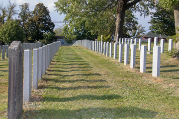 Halifax military cemetery fort massey, gravestones, headstones, grassy, summer