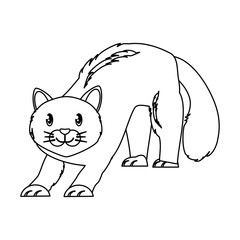 cute cat icon