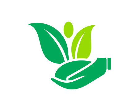 green nature natural plant herb image vector icon logo