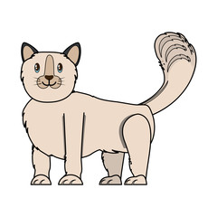 cute cat icon