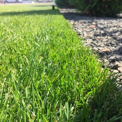 Stone lawn