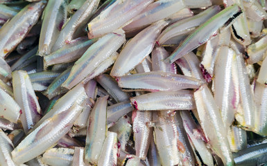 Fish dry in market