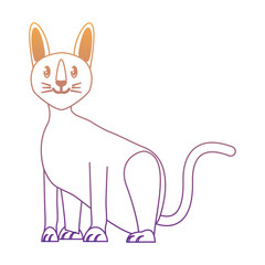 cute cat design