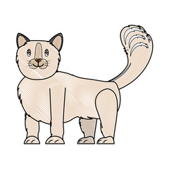 cute kitty icon