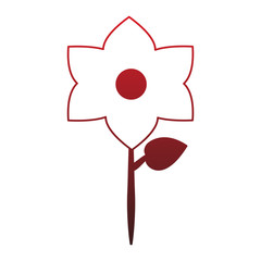 Beautiful flower isolated red lines