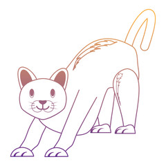 cute cat design