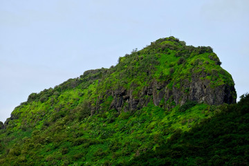 Beautiful landscape aerial, and closeup Photos of nature, roads, grass, trees, village, and farm land. Lush green monsoon nature mountains, hills, Purandar fort, Pune, Maharashtra, India