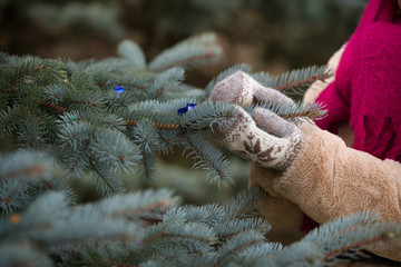 Closeup of woman's hands holding Christmas tree on sunny winter day. Holidays concept