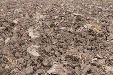 Cultivated Soil Closeup