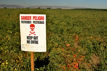 Bilingual Danger “Poison Keep Out” sign in tomato field, Central Valley, California. “Not...