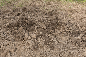 Mud Road Texture