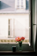 Peonies on Parisian flat windowsill looking out at Paris streetview