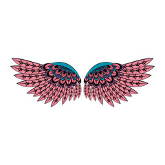 Bird wings isolated