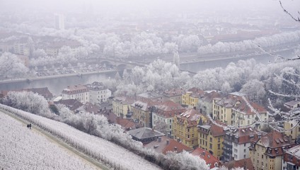 aerial view of würzburg, germany