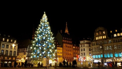 christmas tree in strasbourg - obrazy, fototapety, plakaty