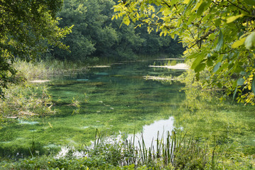 Lago nascosto nel verde