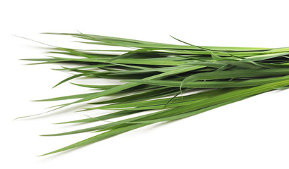 Fototapeta premium Bunch of green grass.