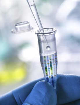 DNA research