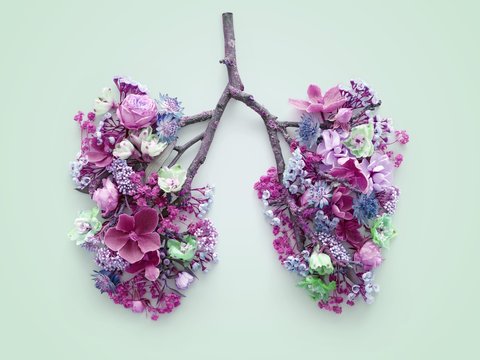 Spring flowers representing human lungs