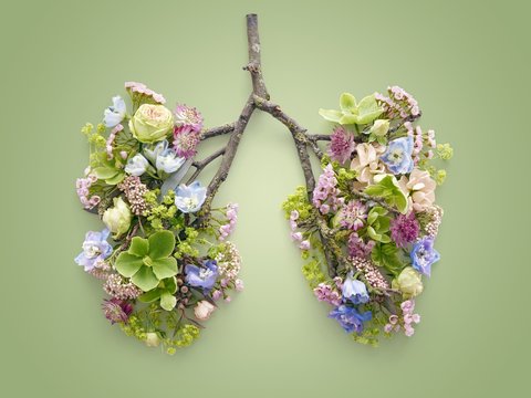 Spring flowers representing human lungs
