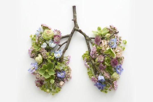 Spring flowers representing human lungs