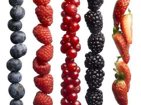 Berries in a row