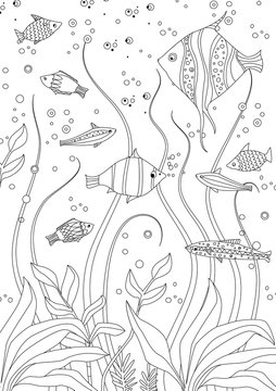 funny fishes and seaweed for your coloring book