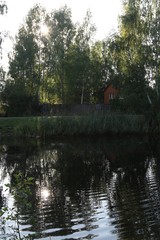 View on the pond