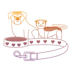 cute dog and cat design 