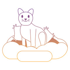 cute cat design