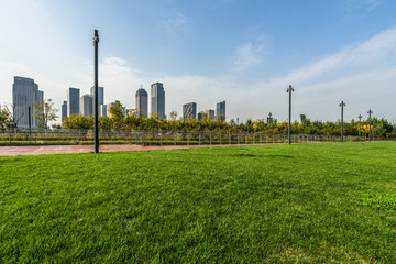 Fototapeta na wymiar green lawn with city skyline background