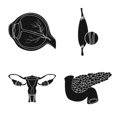 Isolated object of body and human sign. Set of body and medical vector icon for stock.