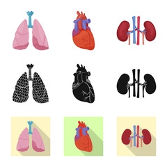 Fototapeta premium Isolated object of body and human icon. Collection of body and medical stock vector illustration.
