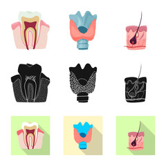 Vector illustration of body and human symbol. Collection of body and medical stock symbol for web.