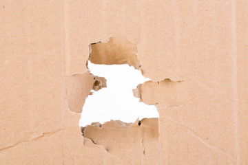 Ripped hole in brown cardboard on white background