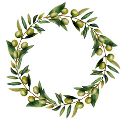 Watercolor olive branch isolated on white background.