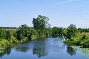 Obraz premium Summer landscape on a sunny day. The river flows among small trees and meadows