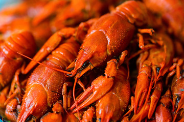 Tasty red boiled crayfish close up background