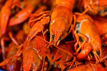 Tasty red boiled crayfish close up background