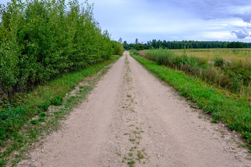 simple gravel country road in summer in forest