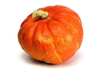 schöner perfekter kürbis in einer idealen position ideal für thanksgiving karten