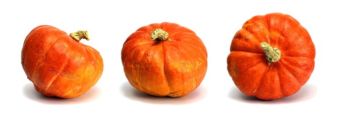 sehr schöne kürbisse in verschiedenen positionen