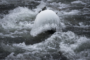 Eisblumen am Fluss im Januar
