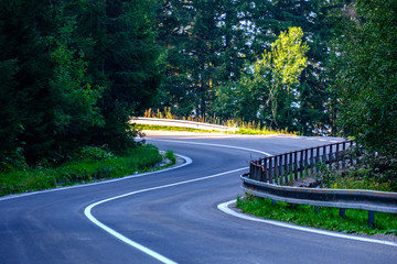 Fototapeta premium asphalted road leading up to the mountains in forest