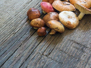 A variety of raw fresh forest mushrooms on wooden background