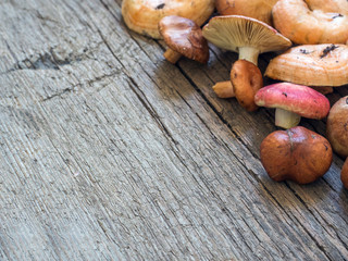 A variety of raw fresh forest mushrooms on wooden background